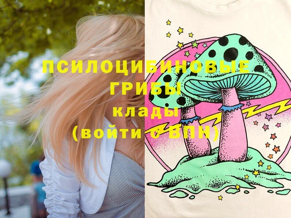 спиды Бугульма