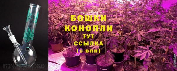 ALPHA PVP Бородино