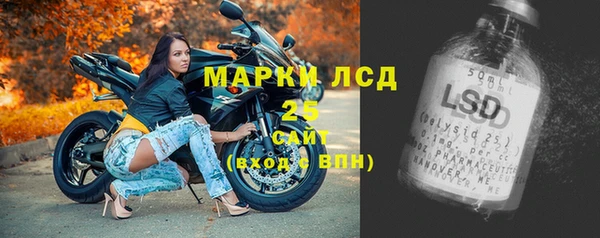 ALPHA PVP Бородино